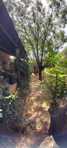 Negocio Residencia Canina Animalandia
