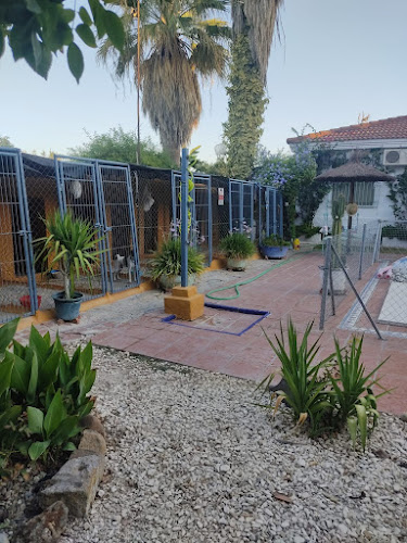 Negocio Residencia Canina Astigi