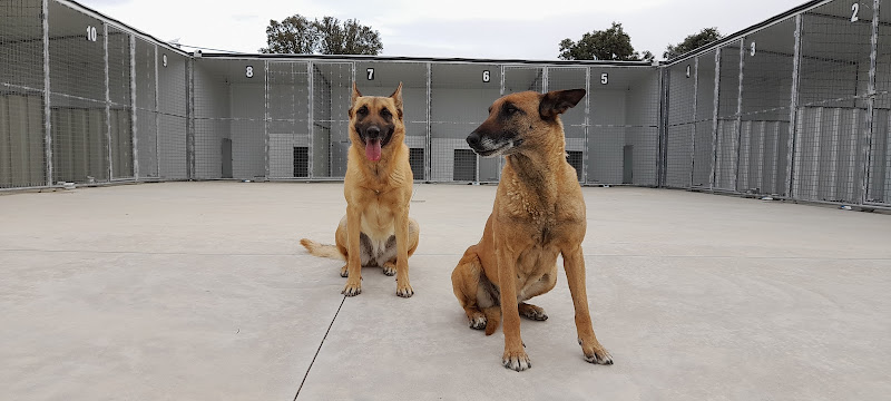 Negocio Residencia Canina Avila. Centro Canino Cobican