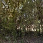 Residencia Canina Brando Paradise – Guardería Canina en Ravelo