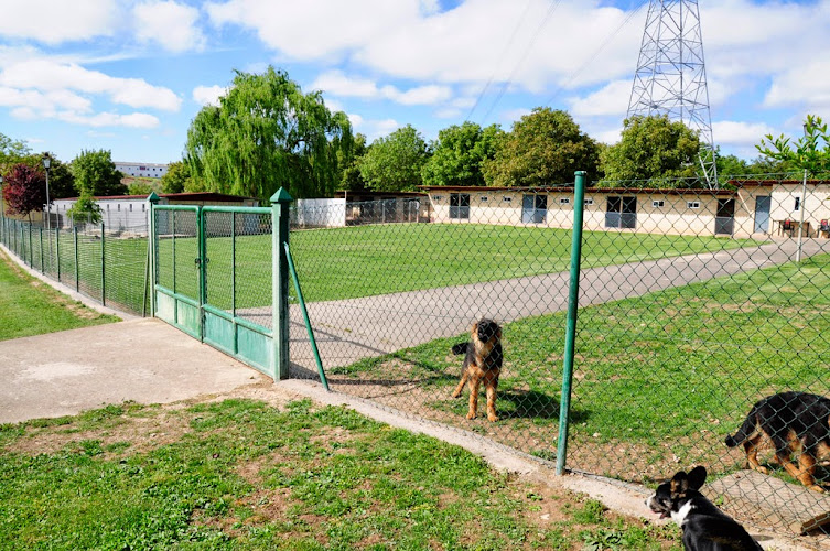Negocio Residencia Canina Bureba