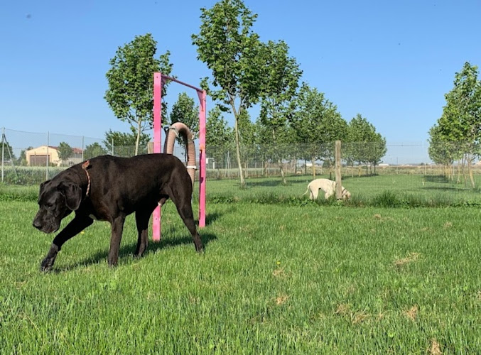 Negocio Residencia Canina Cadenas