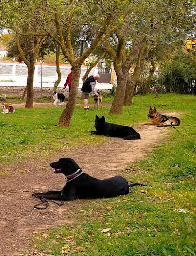 Negocio Residencia Canina Cadiz (Adiestramiento Canino El Almendral)(Incineración De Mascotas Animales Cádiz)