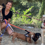 Residència Canina Can Llosses Barcelona – Guardería Canina en Cerdanyola del Vallès