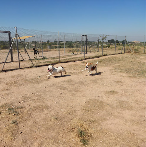 Residència Canina Can Natura
