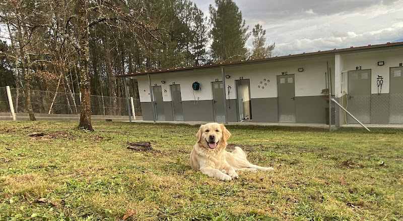 Negocio Residencia Canina & Centro De Cría