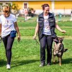 Residencia Canina Cístercan | Adiestramiento Canino – Guardería Canina en Cistérniga