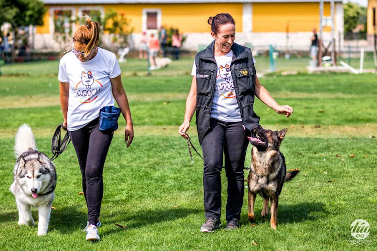 Negocio Residencia Canina Cístercan | Adiestramiento Canino