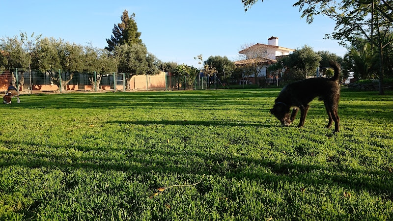 Negocio Residencia Canina Cliveal