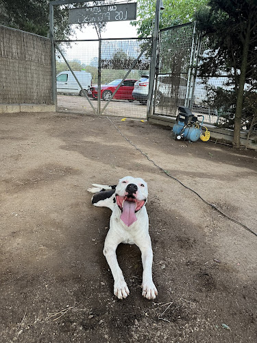 Negocio Residencia Canina Daycan