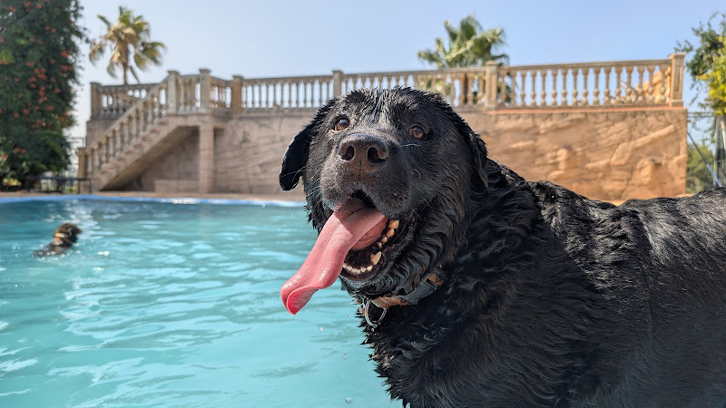 Negocio Residencia Canina Ecocan