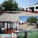 Residencia Canina El Hogar Del Perro – Guardería Canina en Badajoz