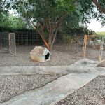 Residencia Canina El Valle – Guardería Canina en Lliria