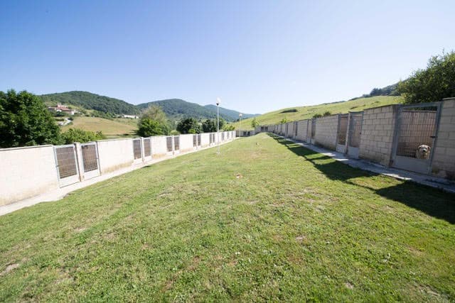 Negocio Residencia Canina En Navarra - Casa De Cora - Nagusi