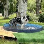 Residencia Canina Fuentes Blancas – Guardería Canina en Cortes