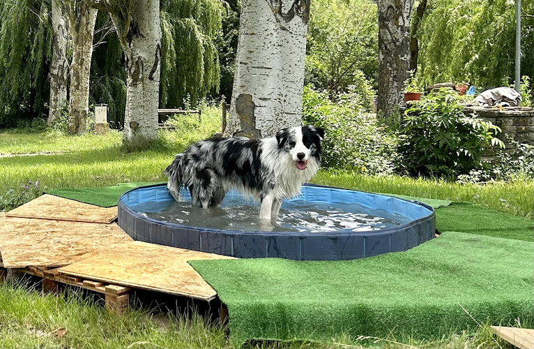 Negocio Residencia Canina Fuentes Blancas