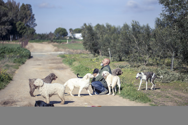 Negocio Residencia Canina Huellas De Aldebarán