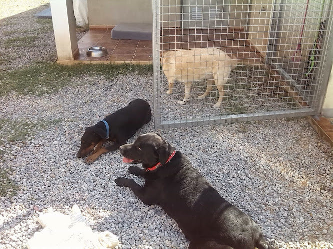 Negocio Residencia Canina Idefix