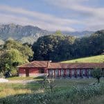 Residencia Canina J. Villanueva – Guardería Canina en Llanes