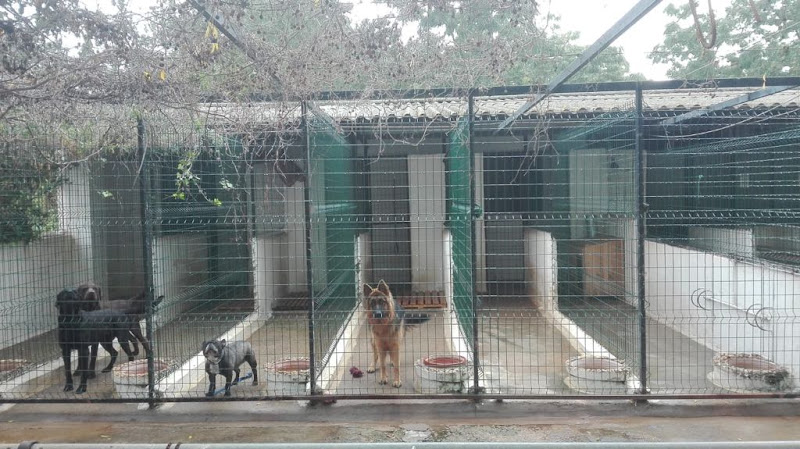 Residencia Canina Kennel Sahara