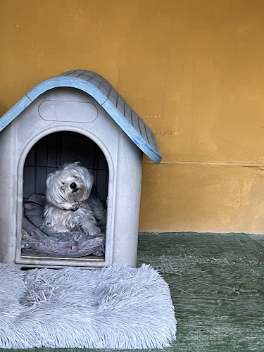 Negocio Residencia Canina La Aldea