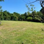 Residencia Canina La Belga – Guardería Canina en Asturias