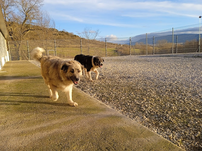 Residencia Canina Las Merindades - Criadero De La Mazorra