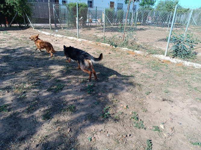 Negocio Residencia Canina Los Alcores