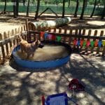 Residencia Canina Los Valles | Adiestramiento Canino – Guardería Canina en Laguna de Duero