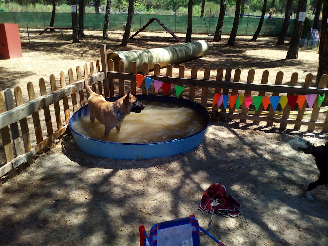 Negocio Residencia Canina Los Valles | Adiestramiento Canino