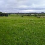 Residencia Canina Los Vitorones – Guardería Canina en Carreño