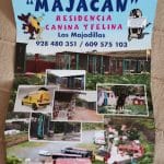 Residencia Canina Majacan – Guardería Canina en Las Palmas de Gran Canaria