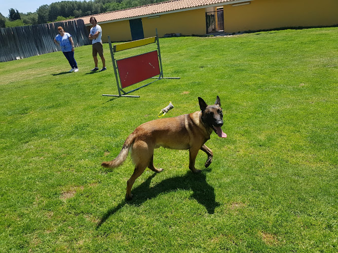 Negocio Residencia Canina Malilupus