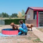 Residencia Canina Nanclares – Guardería Canina en Nanclares de la Oca