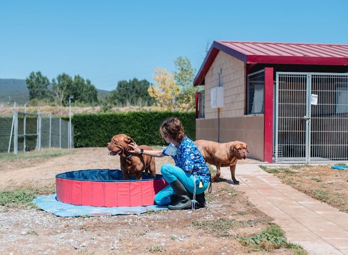 Residencia Canina Nanclares