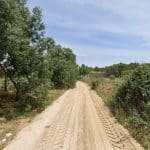 Residencia Canina Pastores Alemanes De Garal – Guardería Canina en Casarrubios del Monte