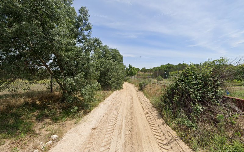Negocio Residencia Canina Pastores Alemanes De Garal