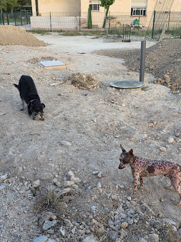 Negocio Residencia Canina Payá Pau