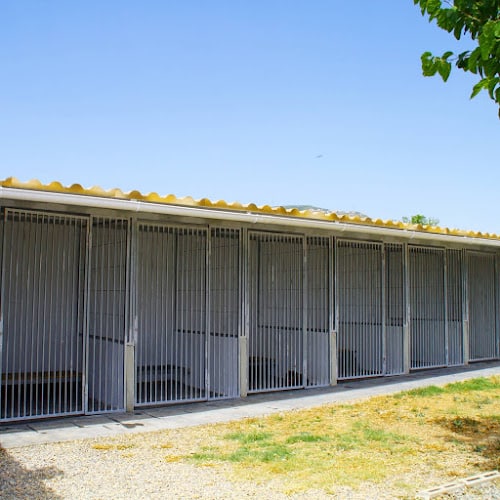 Negocio Residència Canina Pet Paradise