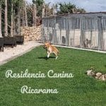 Residencia Canina Ricarama – Guardería Canina en Medina de Pomar