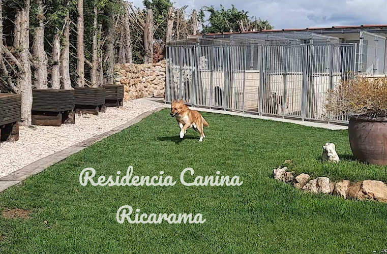Residencia Canina Ricarama