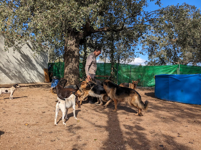Negocio Residencia Canina Sarbecan
