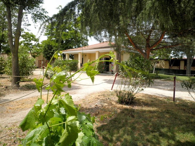 Residencia Canina Solycan