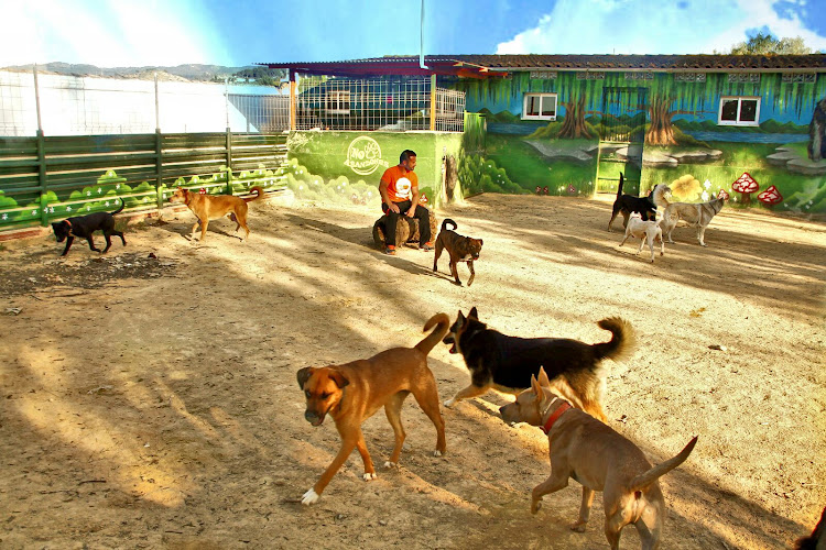 Negocio Residencia Canina Somos Muy Perros
