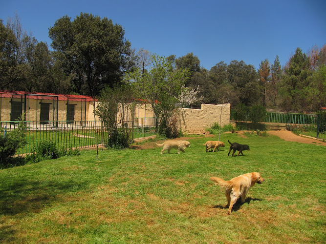 Negocio Residencia Canina Soria
