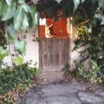 Residencia Canina Sotocampana – Guardería Canina en Zamora