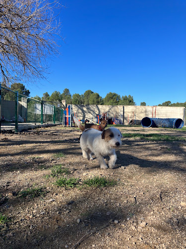 Negocio Residencia Canina Unidos