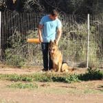 Residencia Canina Valcan – Guardería Canina en Bétera