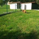 Residencia Canina Veiga Do Ulla – Guardería Canina en Vedra