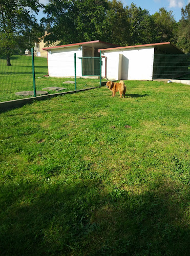 Negocio Residencia Canina Veiga Do Ulla